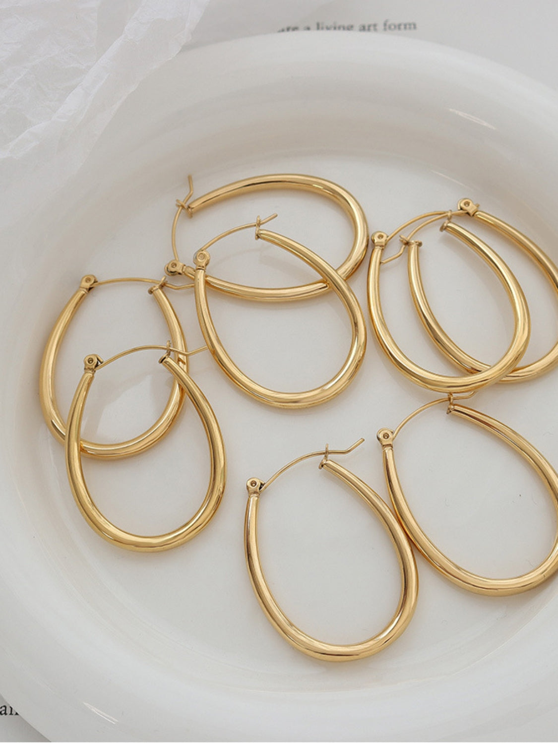 Titanium Steel Plated Earrings