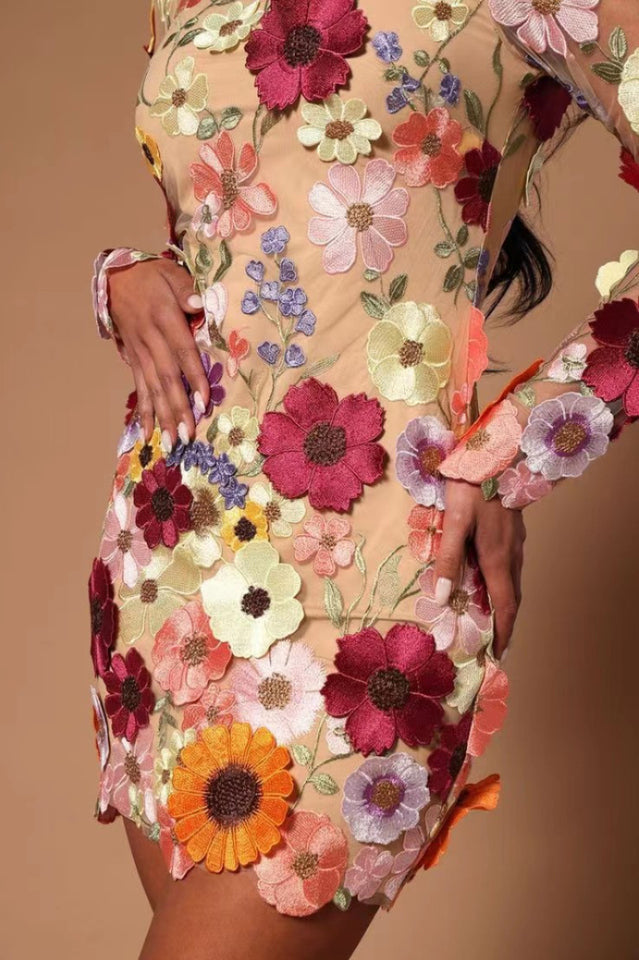 3D Floral Applique Mesh Long Sleeve High Neck Bodycon Mini Dress