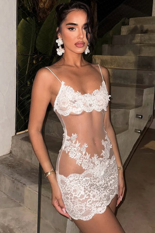 Sweetheart Mesh Panel Floral Lace Applique Bodycon Mini Dress
