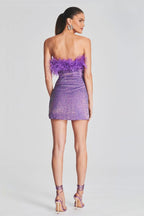 Torin Sequin Feather Dress