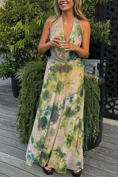 Deep V Neck Sleeveless Printed Flowy Maxi Dress