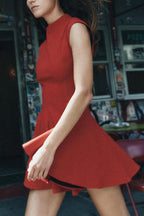 Sleeveless Mock Neck Fit and Flare Mini Dress