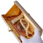 Genevieve Simple Evening Clutch