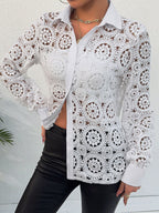 Long-sleeved Lace V-neck Sheer Top