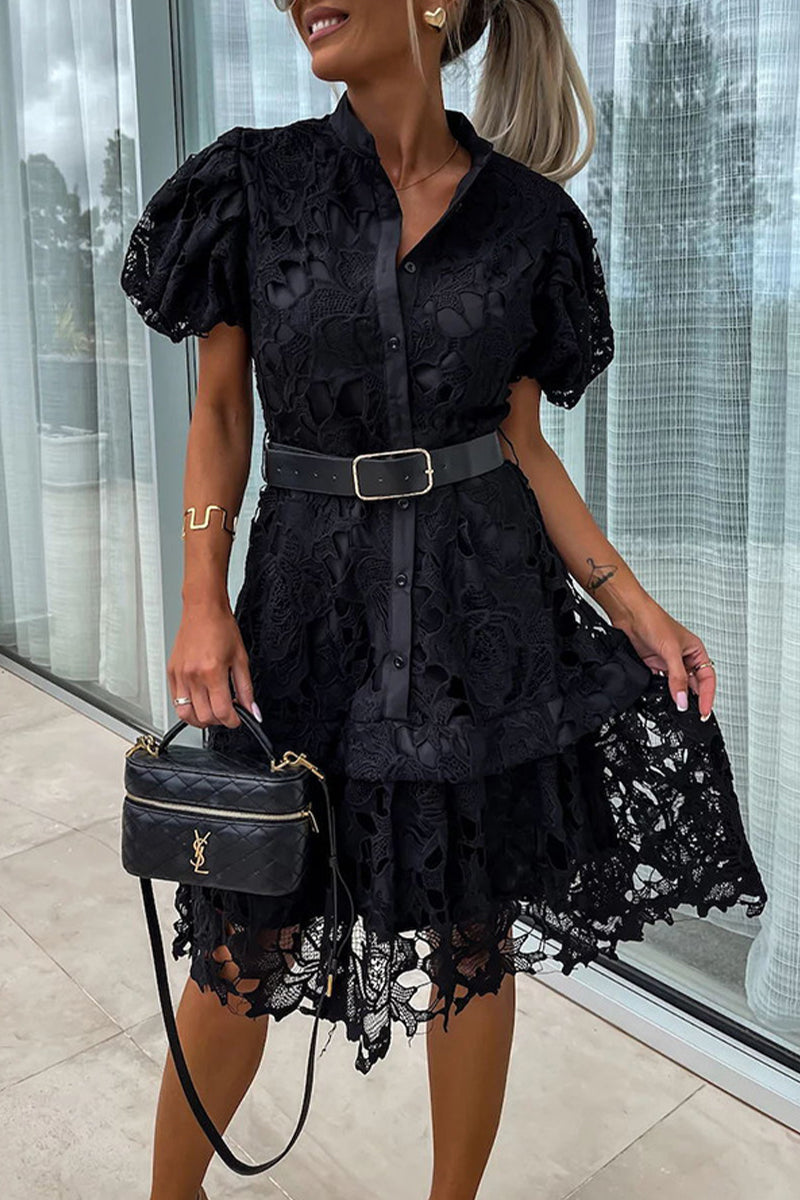 Valeria Effortless Solid Hollow Out Buttons with Belt, Turn Down Collar, a Line Dresses Designer Edit