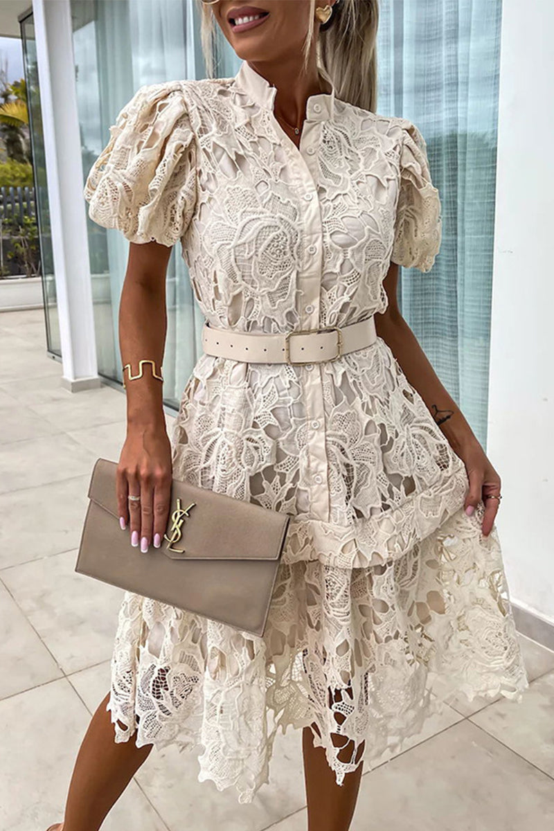 Valeria Effortless Solid Hollow Out Buttons with Belt, Turn Down Collar, a Line Dresses Designer Edit