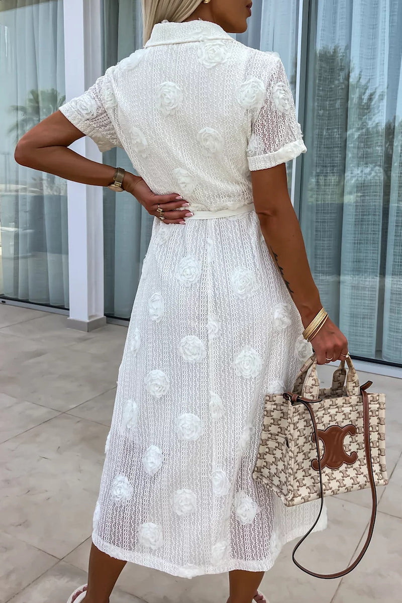 Johana Premium A Line Dresses with Turn Down Collars and Fixed Frenulum Buckles Wardrobe Essential