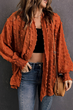 Casual Solid Color Fur Ball Cardigan Collar Outerwear