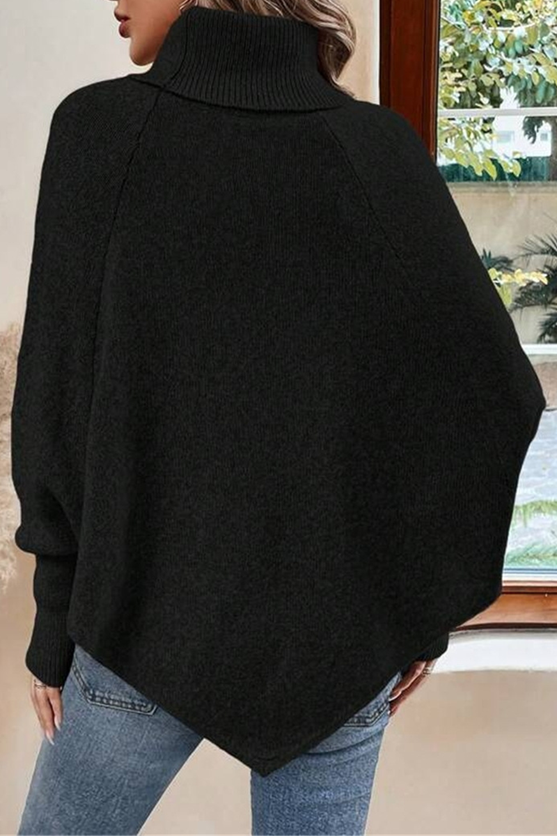 | Casual turtleneck sweater