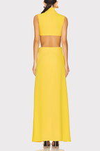 Sexy Solid Color Hollow Out Metal Accessories Trim Turtleneck Long Dresses