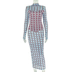 High neck long sleeve mesh print maxi dress  | Festival Outfits Women