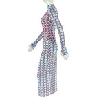 High neck long sleeve mesh print maxi dress  | Festival Outfits Women