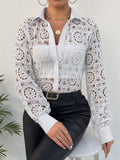 Long-sleeved Lace V-neck Sheer Top