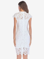 Birthday Bodycon Lace Dresses Designed Neckline Midi Sheath Dress Casual Pencil Dress 2026