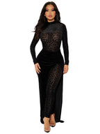 Leopard Print Velvet Sexy See-through Two-piece Set Bodysuit/Pants