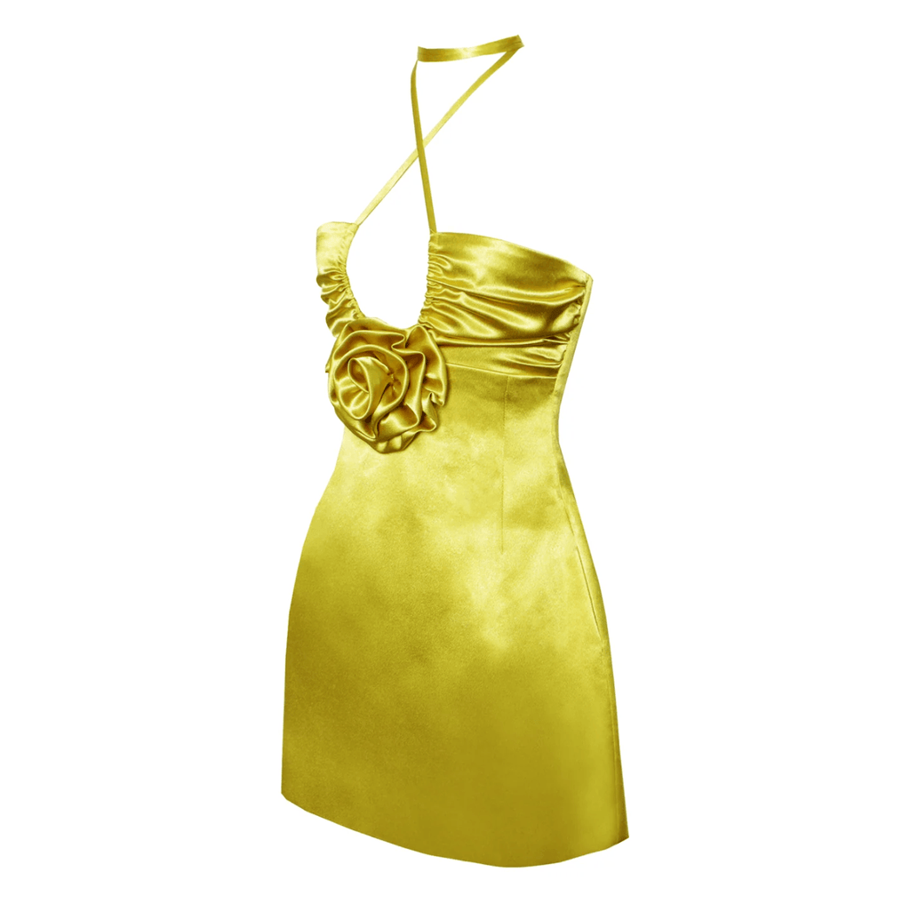 Date In Paris Satin Halter Neck Mini Dress