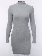 Knitted Bodycon Dress Mock Neck Long Sleeves Casual Sheath Mini Dresses