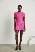 Celestia Floral-Appliqué Embellished Mini Dress in Pink
