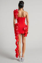 Grace One Shoulder Ruffled Mini Dress