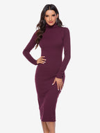 Knitted Dress For Women Comfy Polyester Long Sleeves High Collar