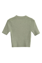Crewneck Short Sleeves Ribbed Knit Top