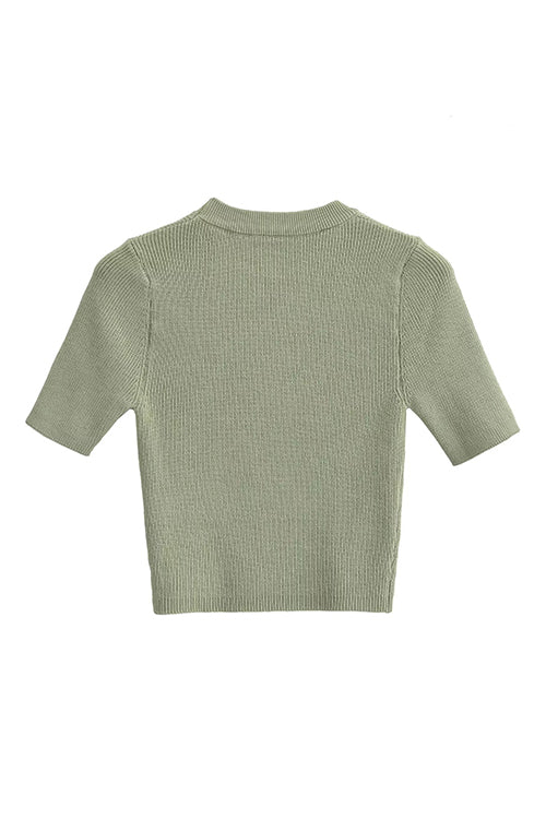 Crewneck Short Sleeves Ribbed Knit Top