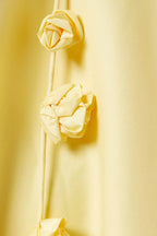 Backless Spaghetti Strap 3D Floral Applique Tie Strap Babydoll Mini Dress