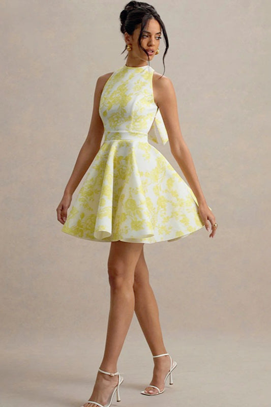 Floral Print Crew Neck Sleeveless Fit and Flare Skater Mini Dress