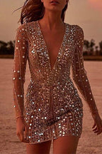 Deep V Neck Mesh Sleeve Mini Sequin Club Dress