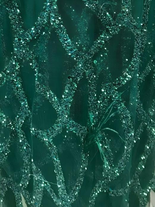 Long Sleeveless Feather Glitter Maxi Dresses