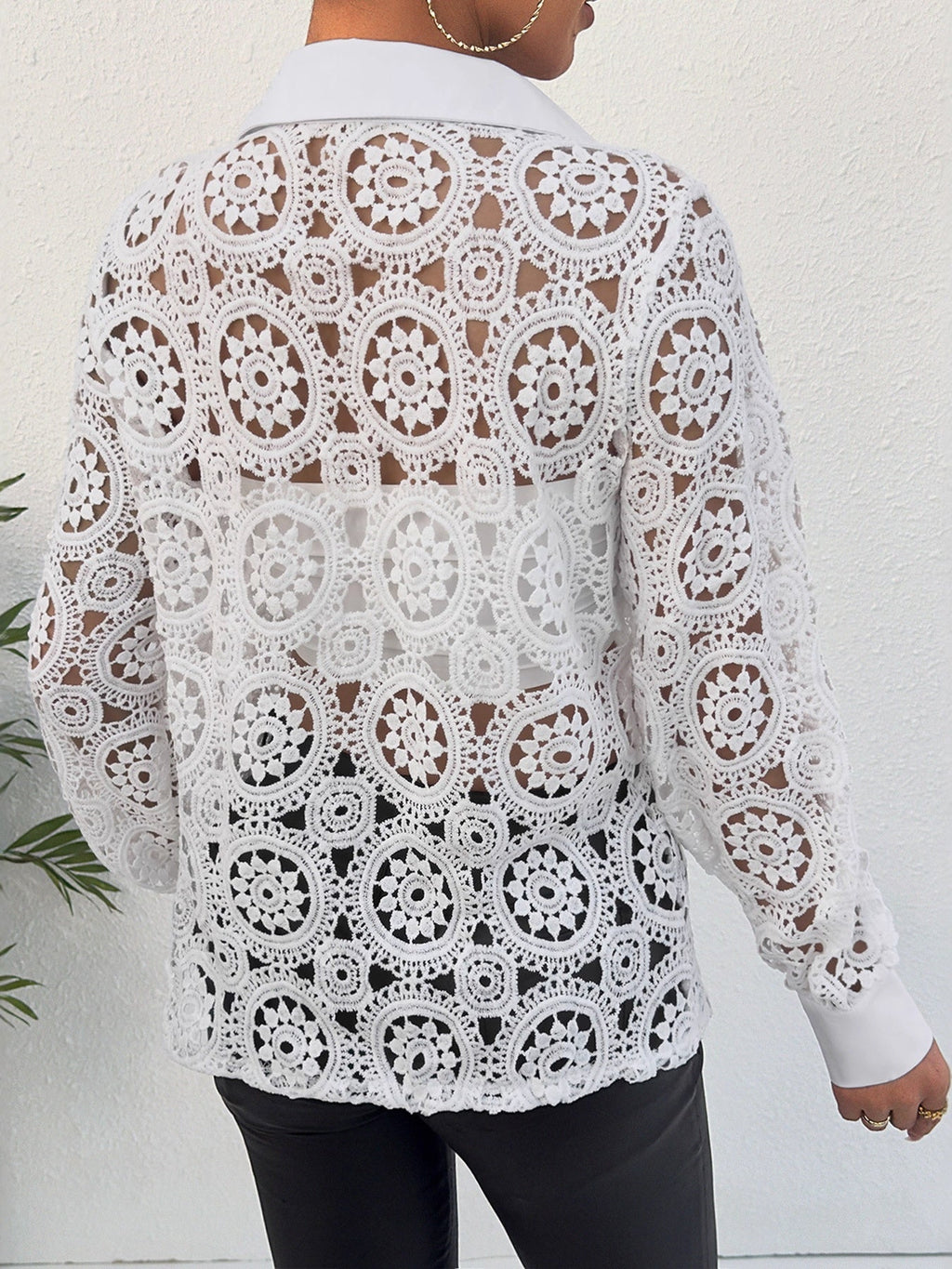 Long-sleeved Lace V-neck Sheer Top