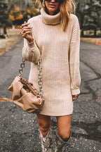 Turtleneck Long Sleeves Ribbed Knit Sweater Dress(in 7 Colors!)