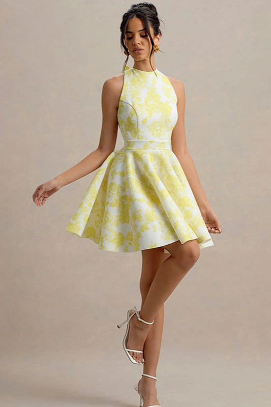Floral Print Crew Neck Sleeveless Fit and Flare Skater Mini Dress