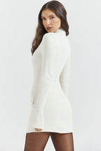 Mock Neck Long Sleeve Princess Seam Hip Flap Panel Mini Dress