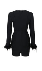 Stretch Long Sleeves Feather Mini Dress in Black