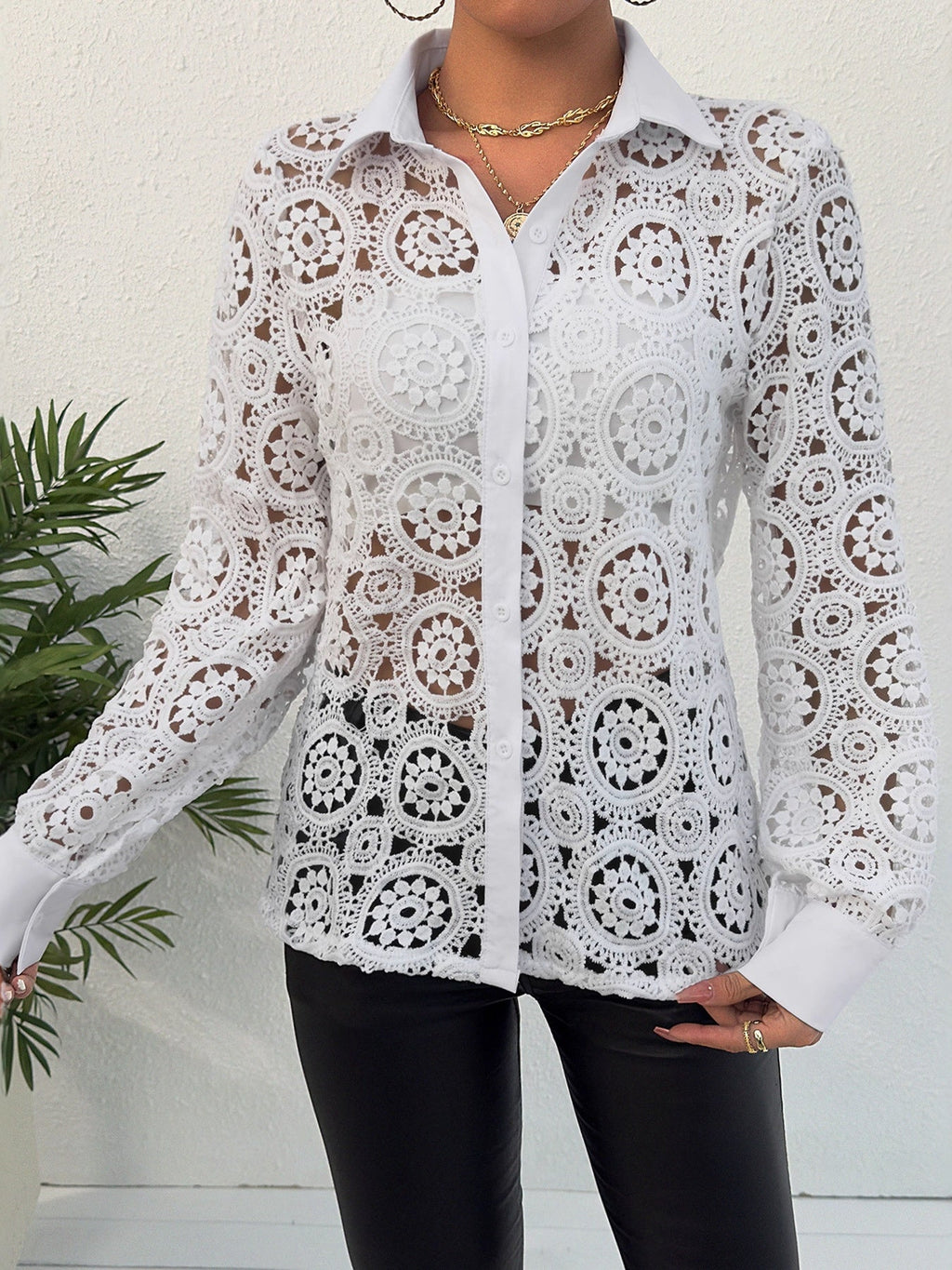 Long-sleeved Lace V-neck Sheer Top