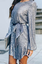 Sequin Long Sleeve Crew Neck Velvet Tie Waist Mini Dress