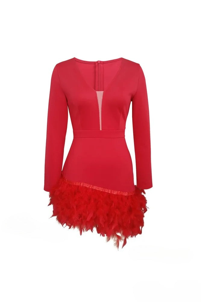 Feather Trim Deep V-Neck Long Sleeve Fit and Flare Mini Dress