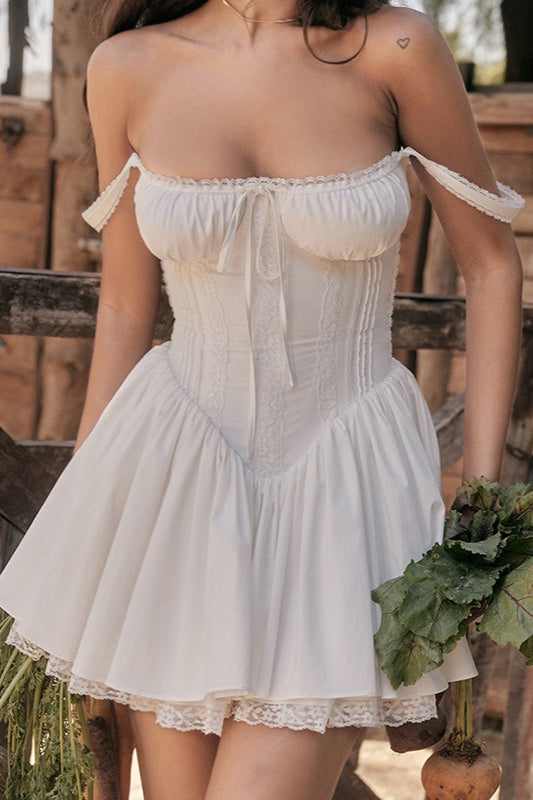 Spaghetti Strap Lace Trim Ballet Neck A-Line Mini Dress