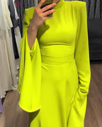 Ruffle sleeve long half turtleneck dress
