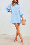 Classic Drop Shoulder Long Sleeves Oversized Blouse Shirt