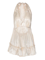 Deep V-neck Backless Fitted Satin Halter Neck Short Dress