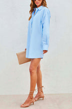 Classic Drop Shoulder Long Sleeves Oversized Blouse Shirt