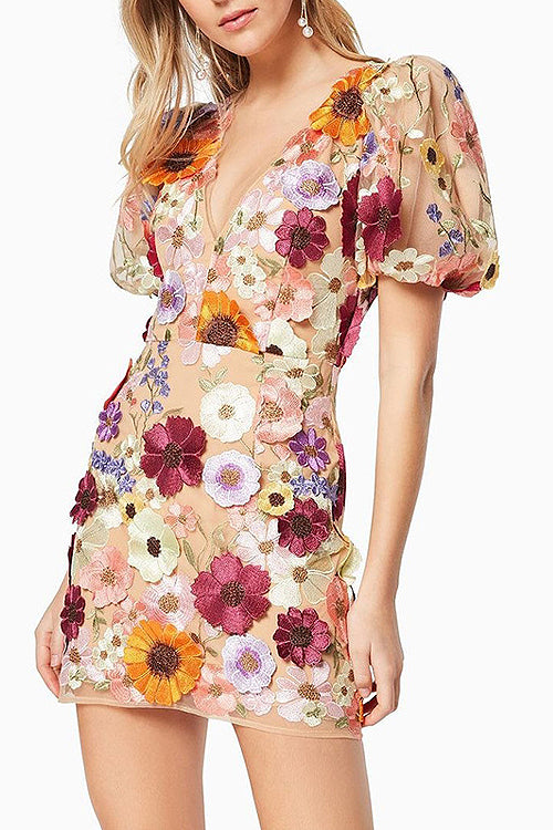 3D Floral Applique Puff Sleeve V Neck Sheer Mesh Mini Dress