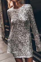 Sequin Crew Neck Long Sleeve Straight Mini Dress