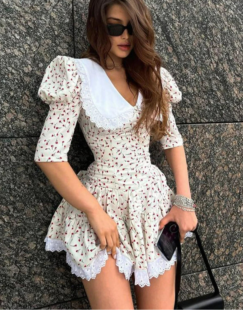 Ditsy Floral Print Eyelet Lace Collar Puff Sleeve Ruffle Hem Mini Dress