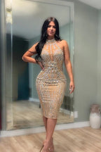Rhinestone Mesh High Neck Sheer Panel Bodycon Midi Cocktail Dress
