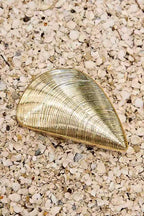 Trendy Chain Glitter Oyster Clutch Bag