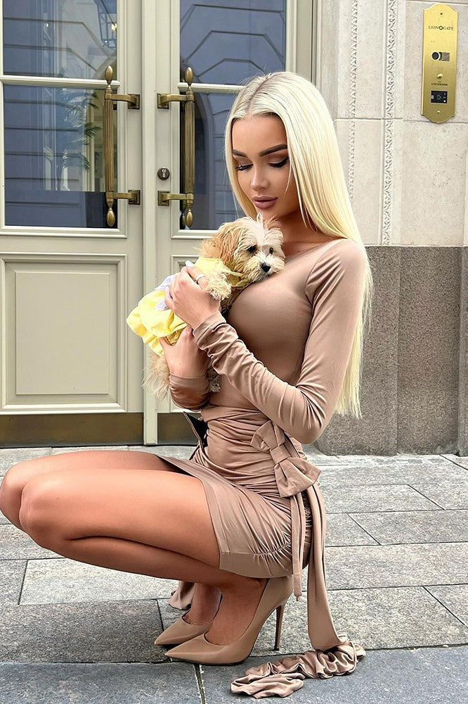Scoop Neck Long Sleeve Bow Detail Ruched Bodycon Mini Dress