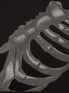 Anatomy Skeleton Short Sleeve Graphic Tee
